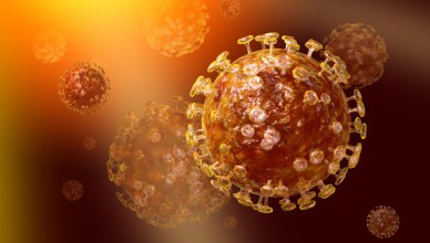 Азиатская страна научилась бороться с MERS