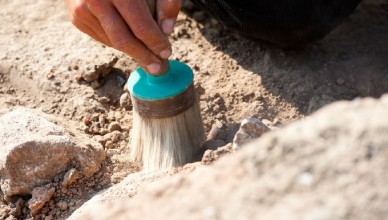 «Зверь» найденный на раскопках не числится в бестиариях средневековья