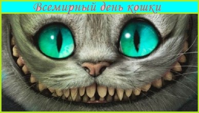 8 августа — Всемирный день кошек