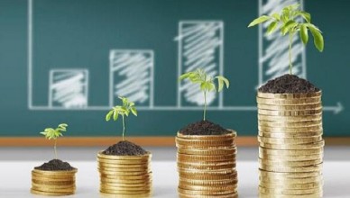 Опубликован рейтинг регионов России — Алтай четвертый по привлекательности инвестиций