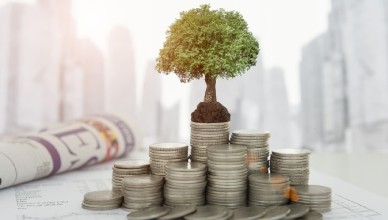 Документация в ICO-проектах: на что обратить внимание будущему инвестору?