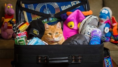 Взвешиваем чемоданы или что брать в отпуск