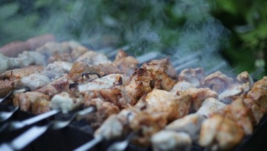 В Санкт-Петербурге появятся зоны отдыха для барбекю